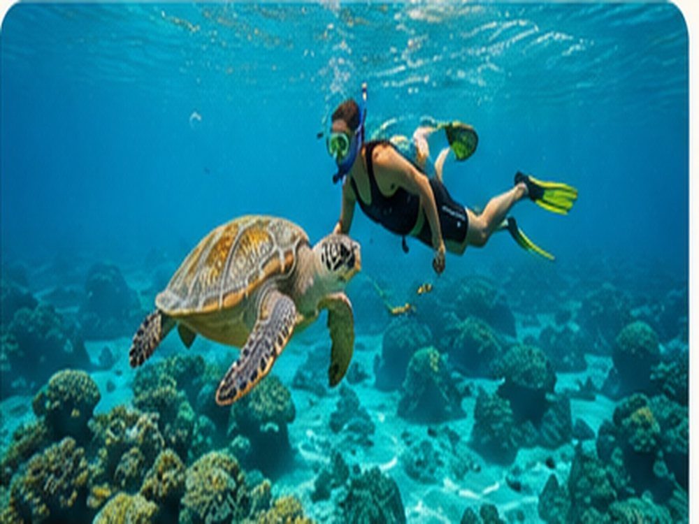 Diving & Snorkelling Holidays